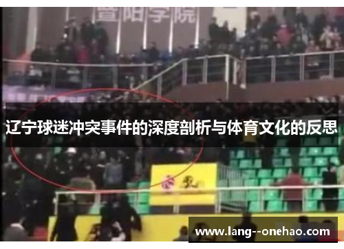 辽宁球迷冲突事件的深度剖析与体育文化的反思